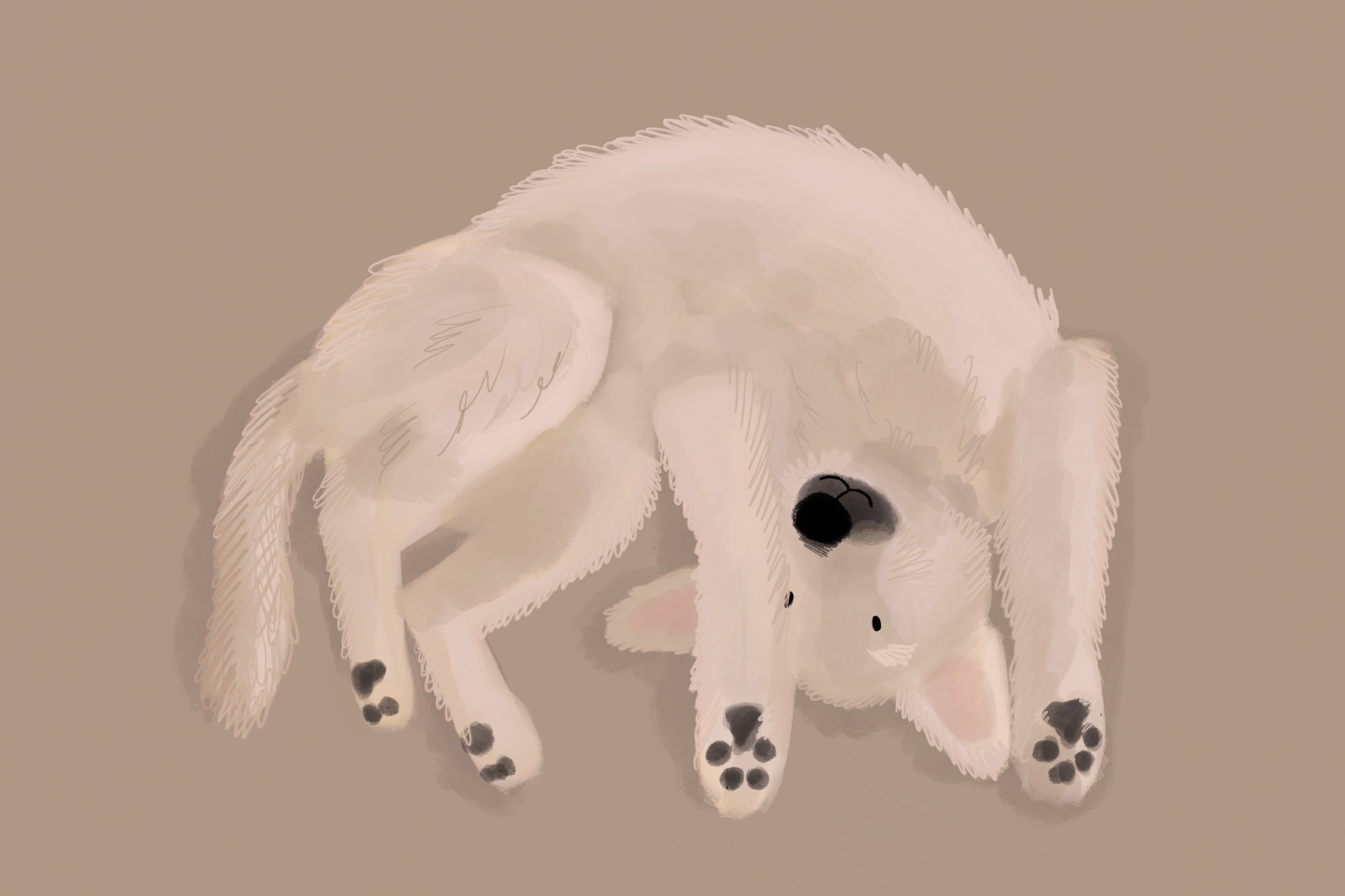 Kundelki – superbohaterowie w psim świecie