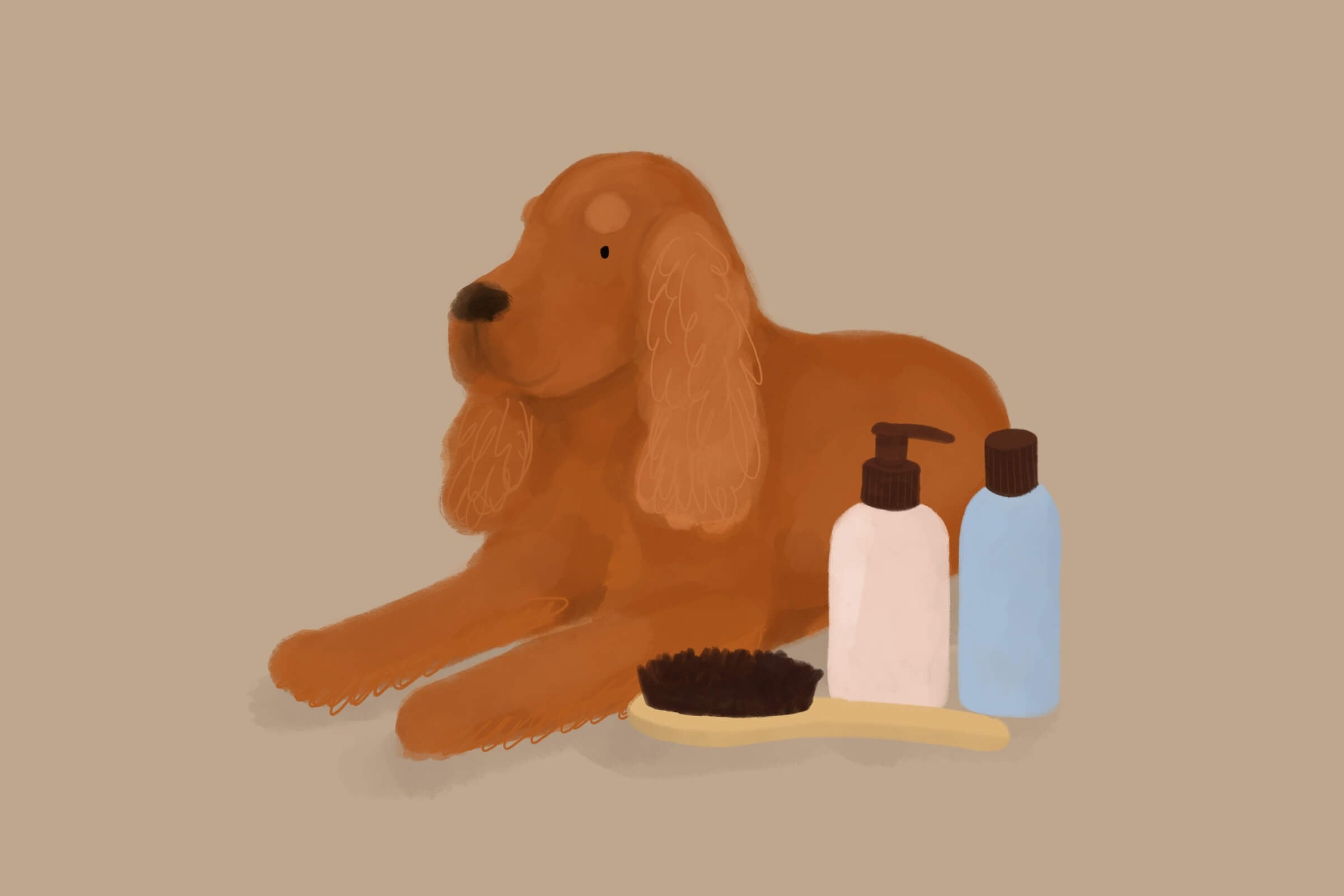 Jak dbać o sierść psa? Kompleksowy poradnik dla każdego typu sierści pupila