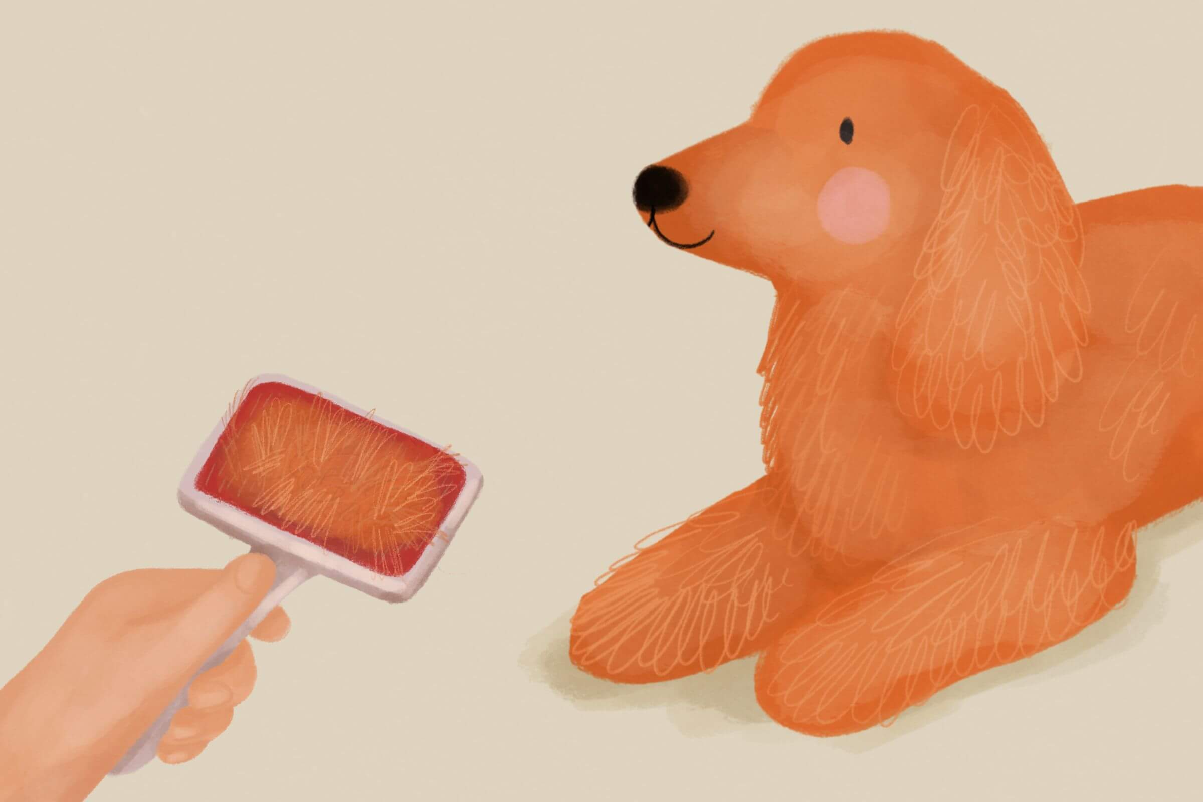 Linienie u psa - kiedy jest normalne, a kiedy powinno niepokoić?