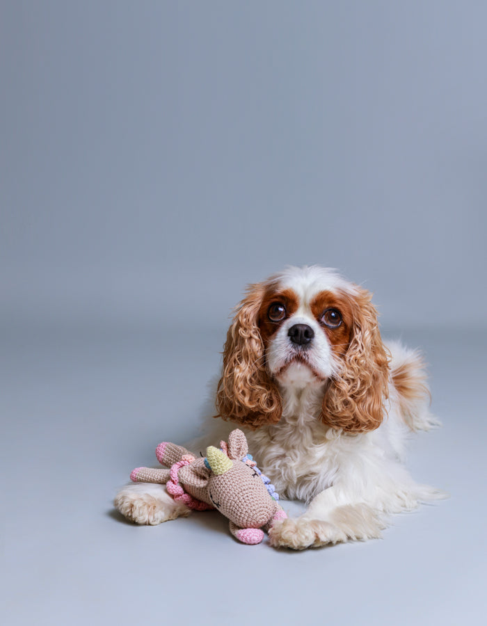 Crochet dog toy FLAVIA the unicorn