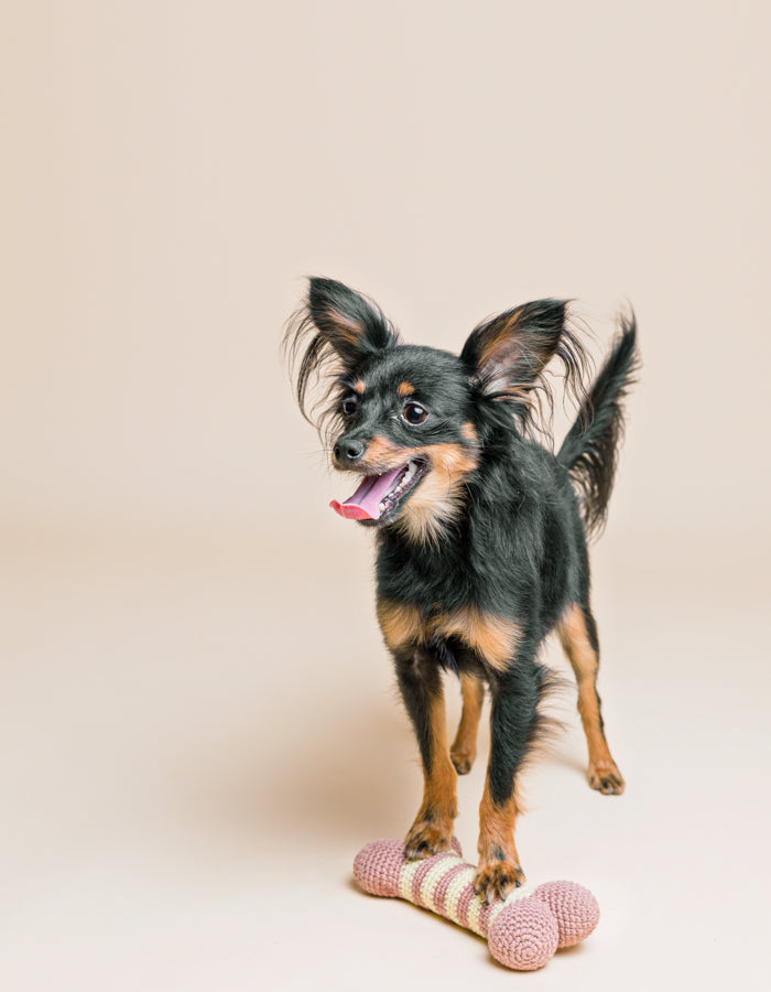 Crochet organic bone toy LILLY lime