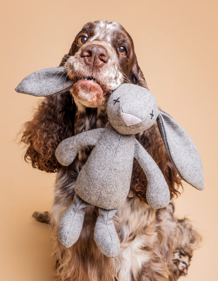 Plush dog toy RUPERT the rabbit