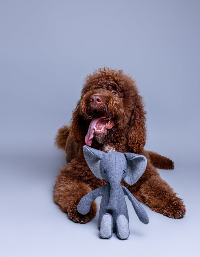 Plush dog toy STEFAN the elephant