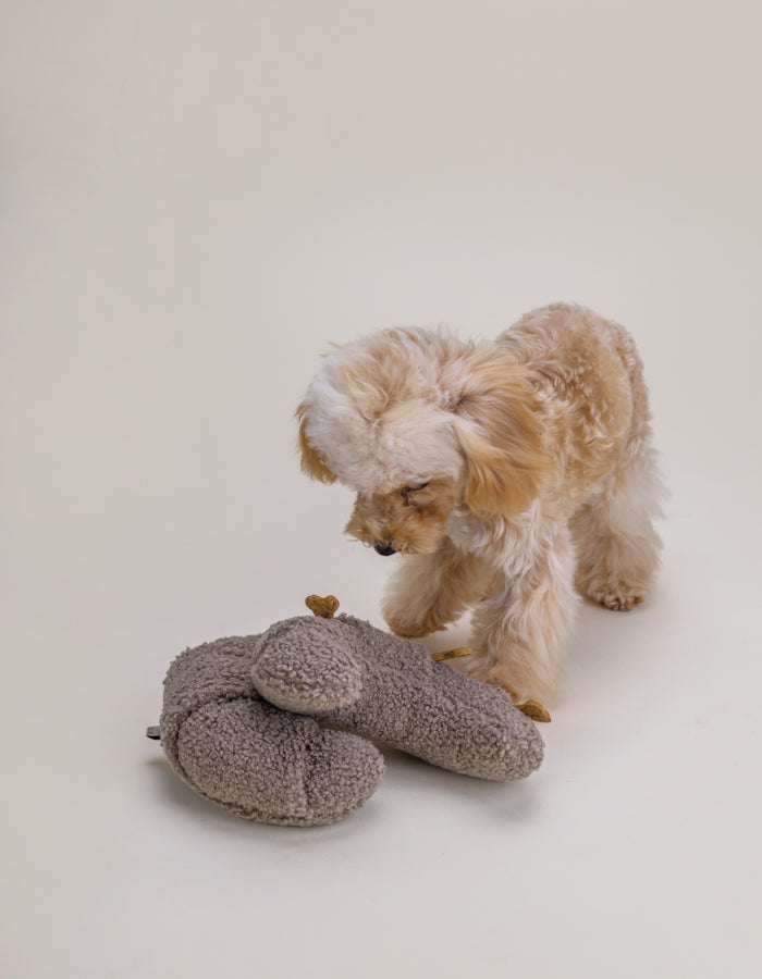 Enrichment plush dog toy CROISSANT