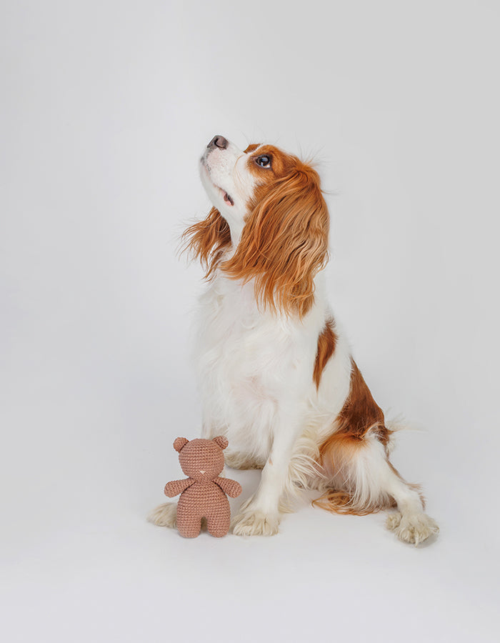 Szydełkowa zabawka dla psa miś Bruno z piszczałką