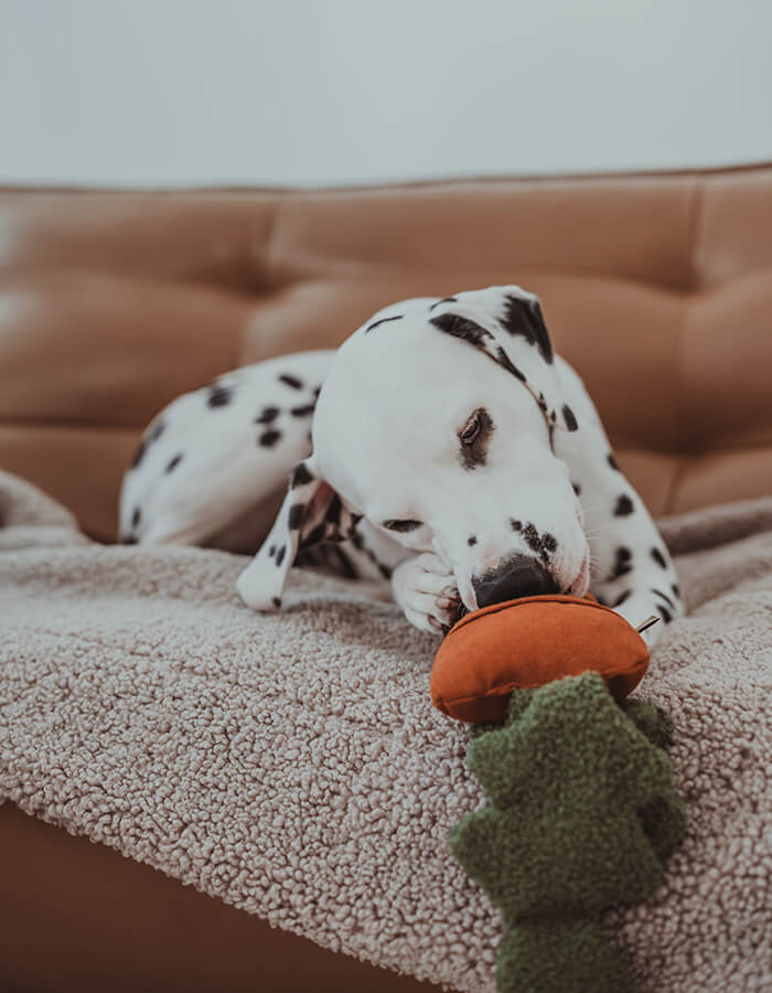 Snuffle / activity toy for dogs CARROT