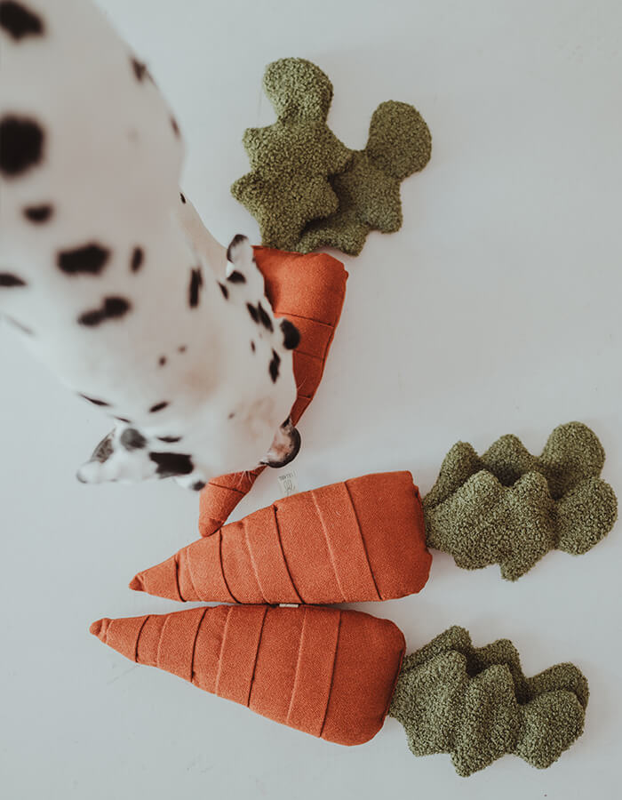 Zabawka węchowa / aktywizująca dla psa CARROT