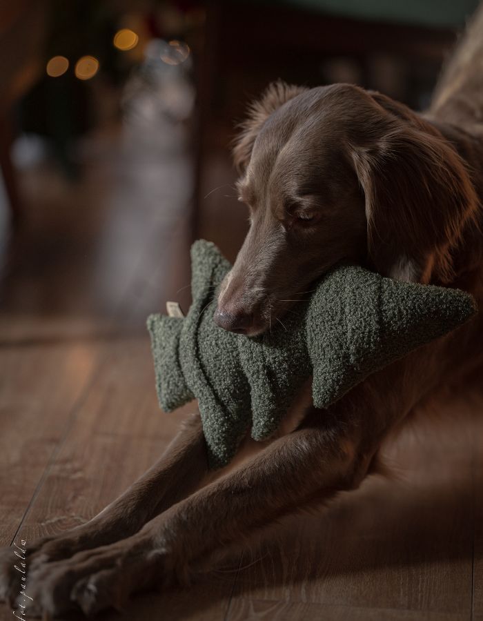 Zabawka węchowa dla psa HOLIDAY TREE eco bouclé