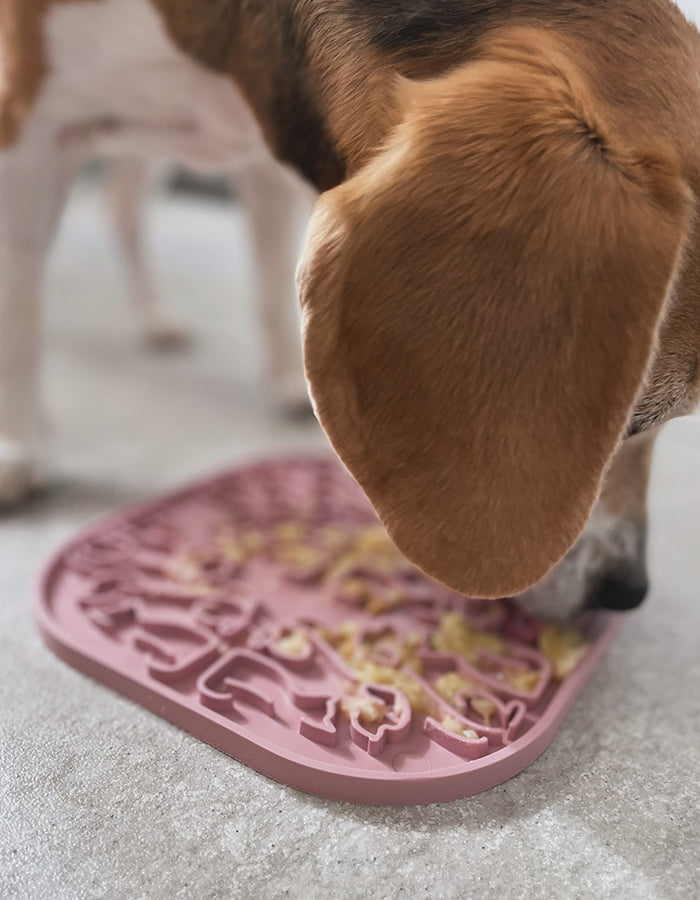 Licking mat for a dog or cat