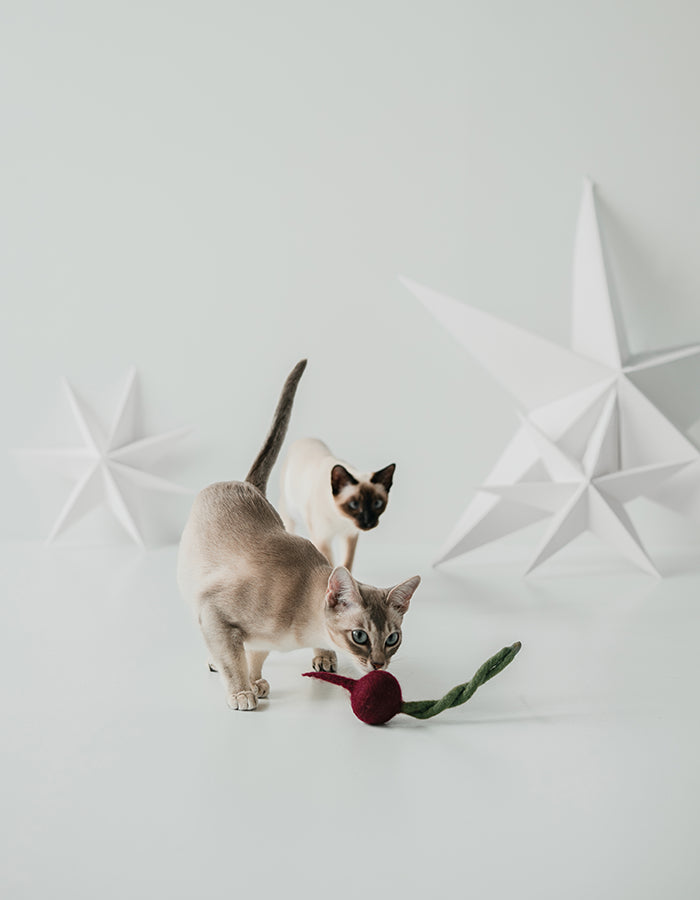 Naturalna zabawka dla kota lub psa buraczek 100% wełna