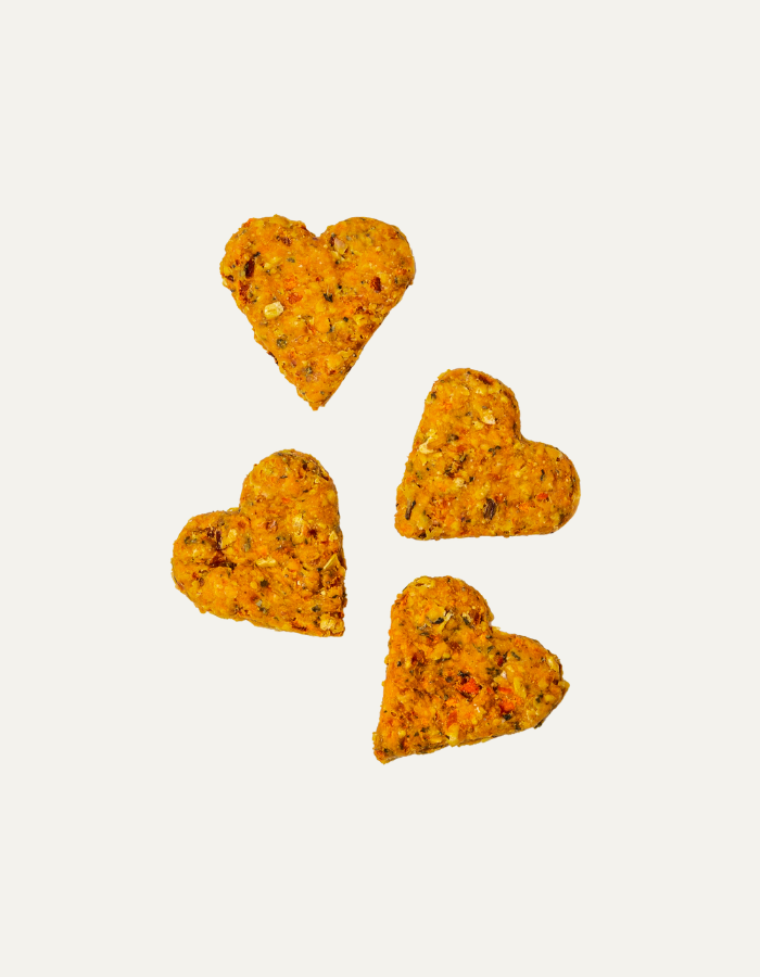 Psiacha 100g handmade meat-free dog treats
