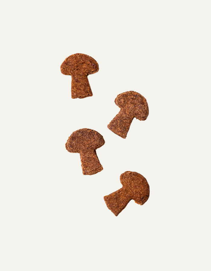 PSIACHA handmade dog treats with wild boar 100g