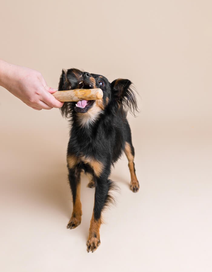 Natural COFFEE WOOD CHEW stick