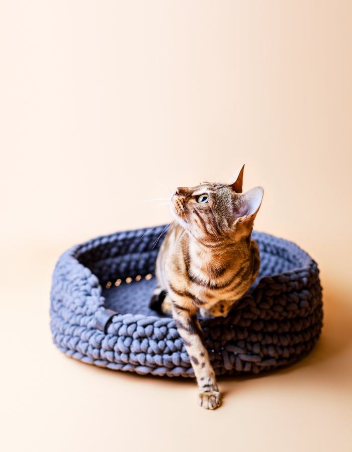 Cat basket COTTON graphite *recycled material*