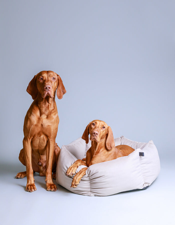 Hexagon dog bed VELUDO greige