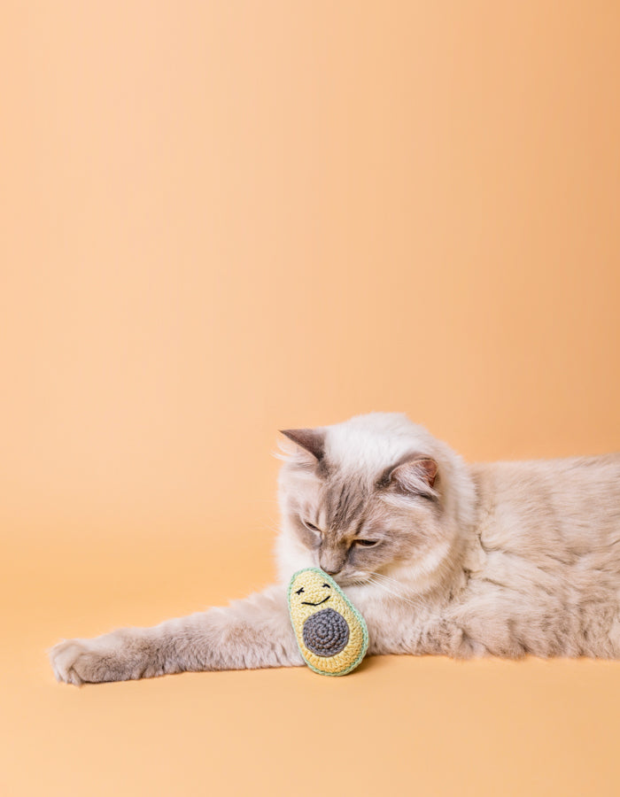 Crochet cat toy with catnip MR AVOCADO