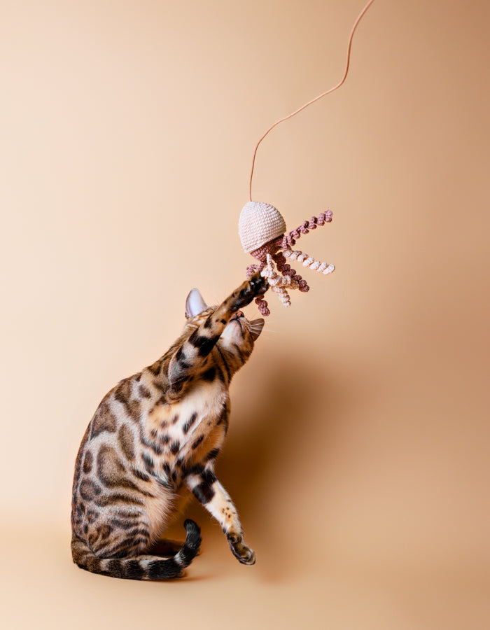 Wand toy with catnip and a bell JELLYFISH beige