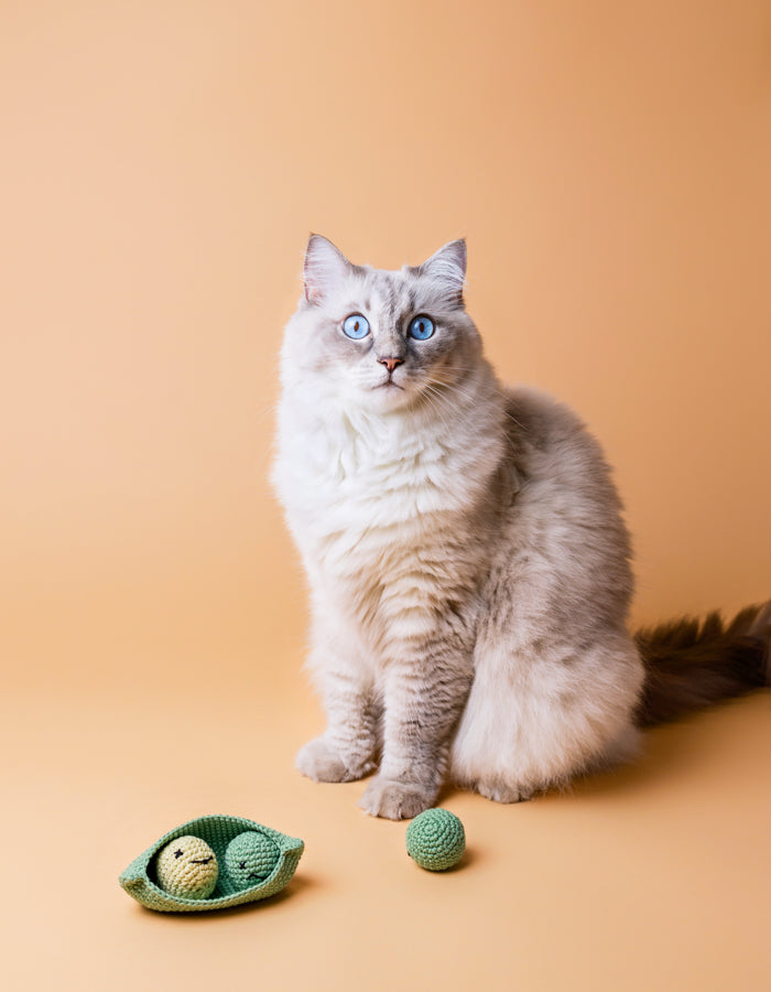 Crochet cat toy MR PEAS