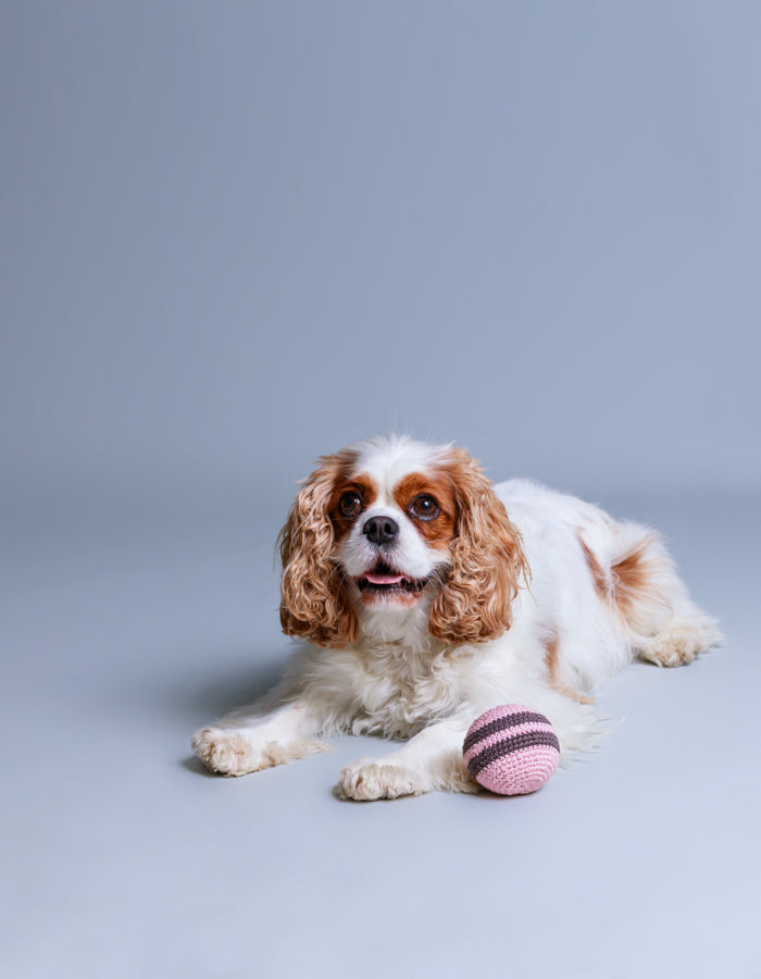 Crochet organic dog ball RAINBOW pink