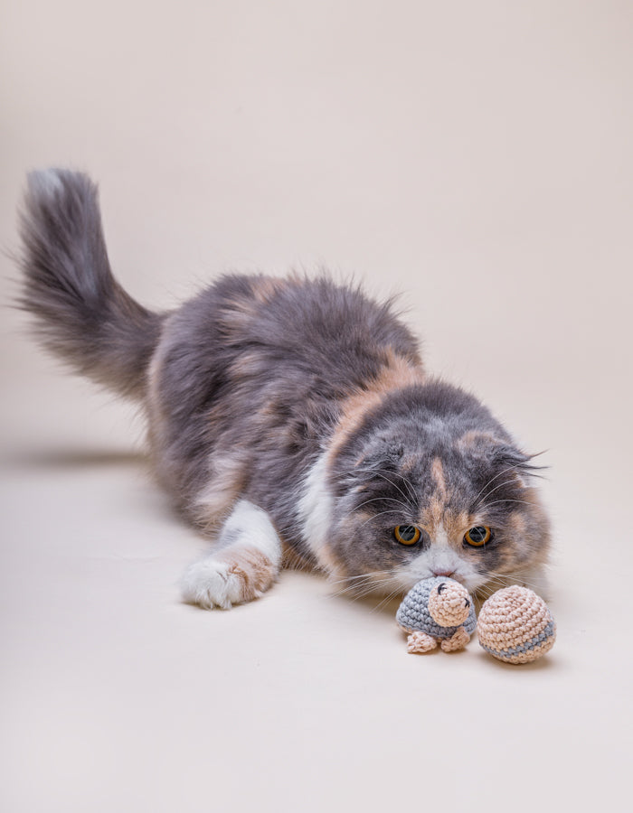 Crochet cat toys set TURTLE