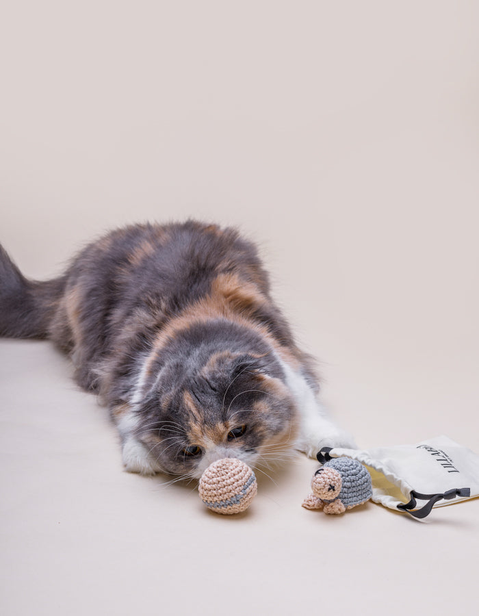 Zestaw szydełkowych zabawek dla kota TURTLE