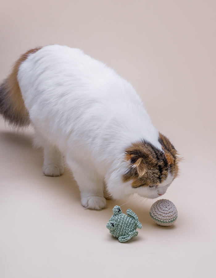 Crochet cat toys set FROG