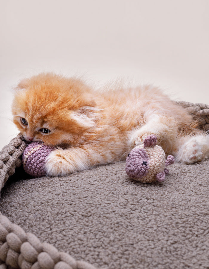 Crochet cat toys set FISH