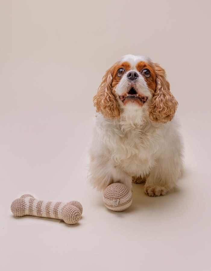 Crochet organic cotton bone toy LILLY almond