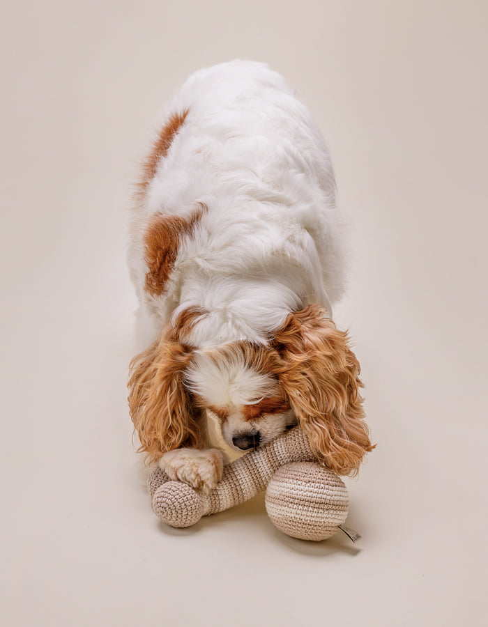 Crochet organic cotton bone toy LILLY almond