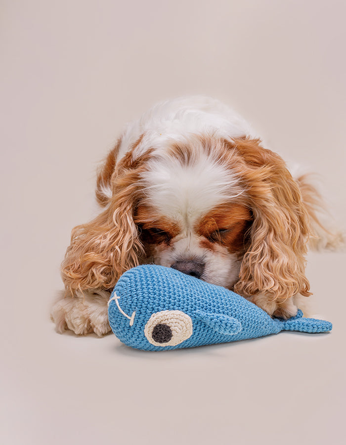 Crochet dog toy BAZYL the whale