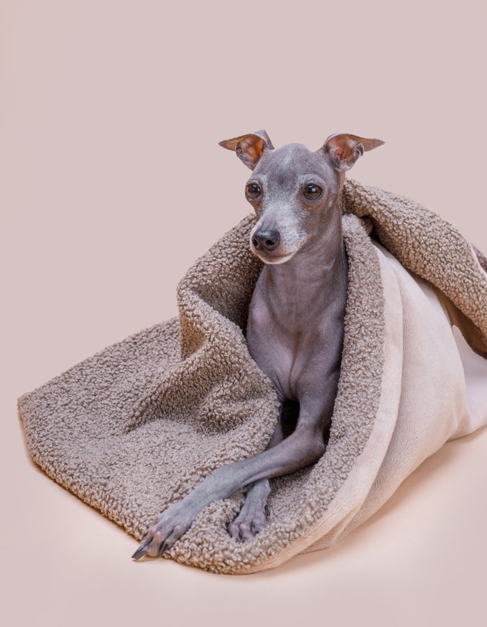 Pet blanket CALM eco bouclé taupe