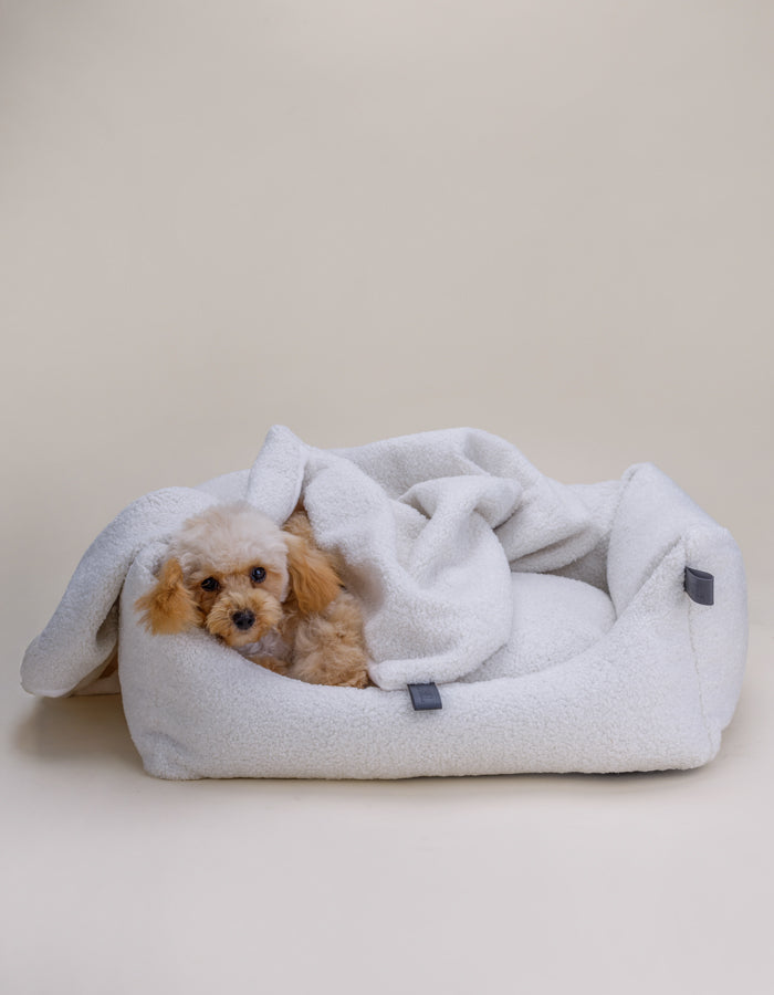 Dog bed TEDDY eco bouclé taupe