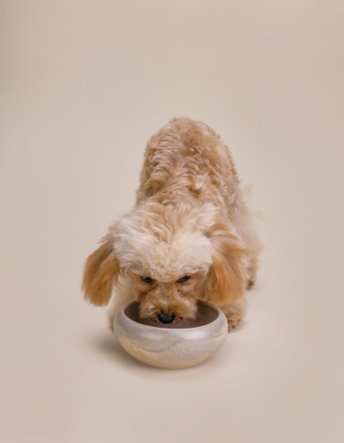 Ceramic bowl for dog or cat SAND