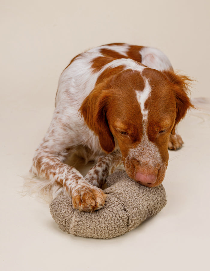 Enrichment plush dog toy CROISSANT