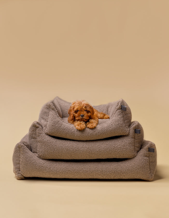 Dog bed TEDDY eco bouclé taupe