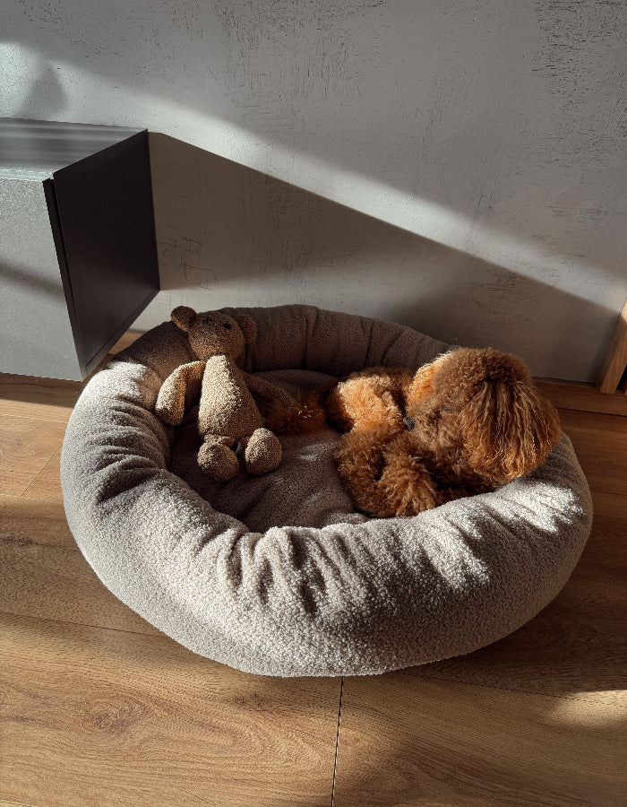 Nest cloud bed for a small or medium-sized dog