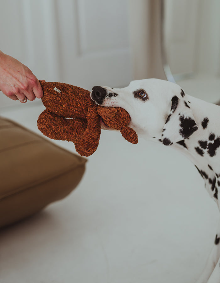 Plush dog toy LEA the squirrel  