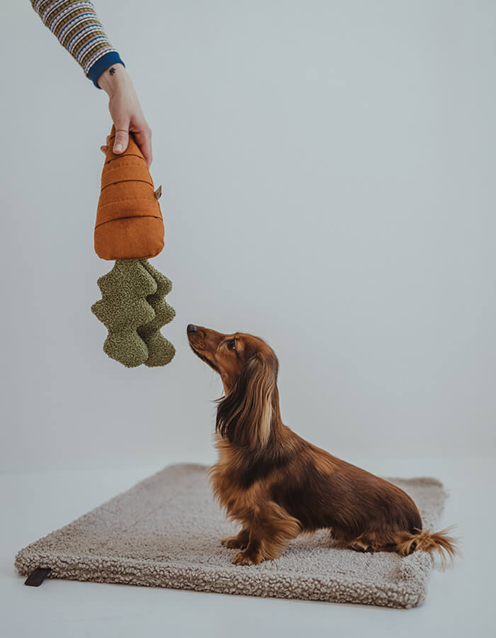 Snuffle / activity toy for dogs CARROT