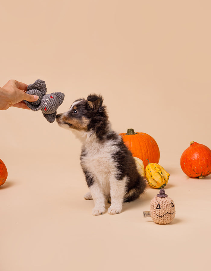 Crochet dog toy BABY BAT