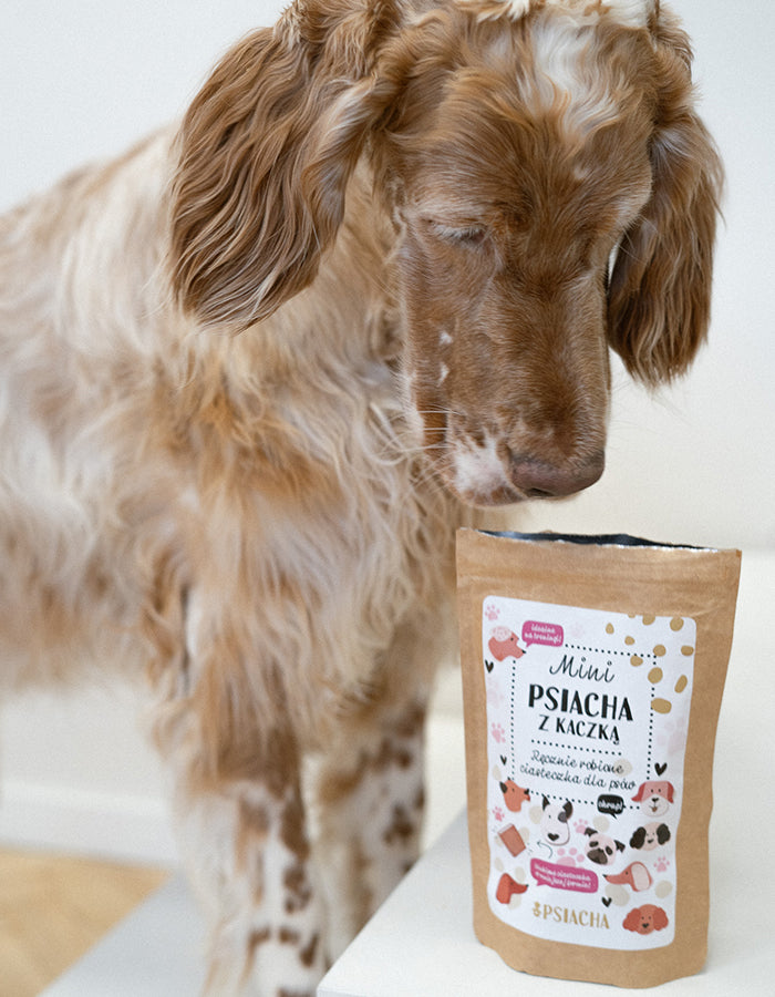 MINI PSIACHA with duck 80-160g training dog treats