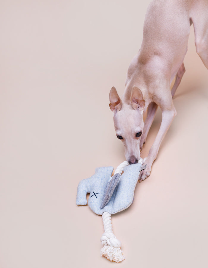 Plush dog toy with rope EMMA the elephant