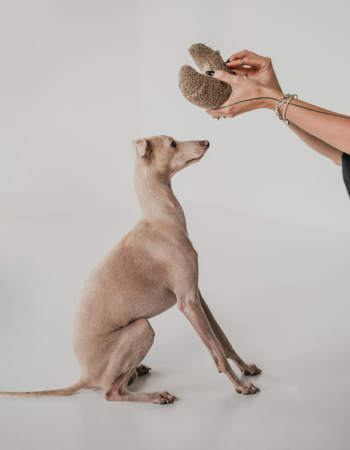 Enrichment plush dog toy CROISSANT