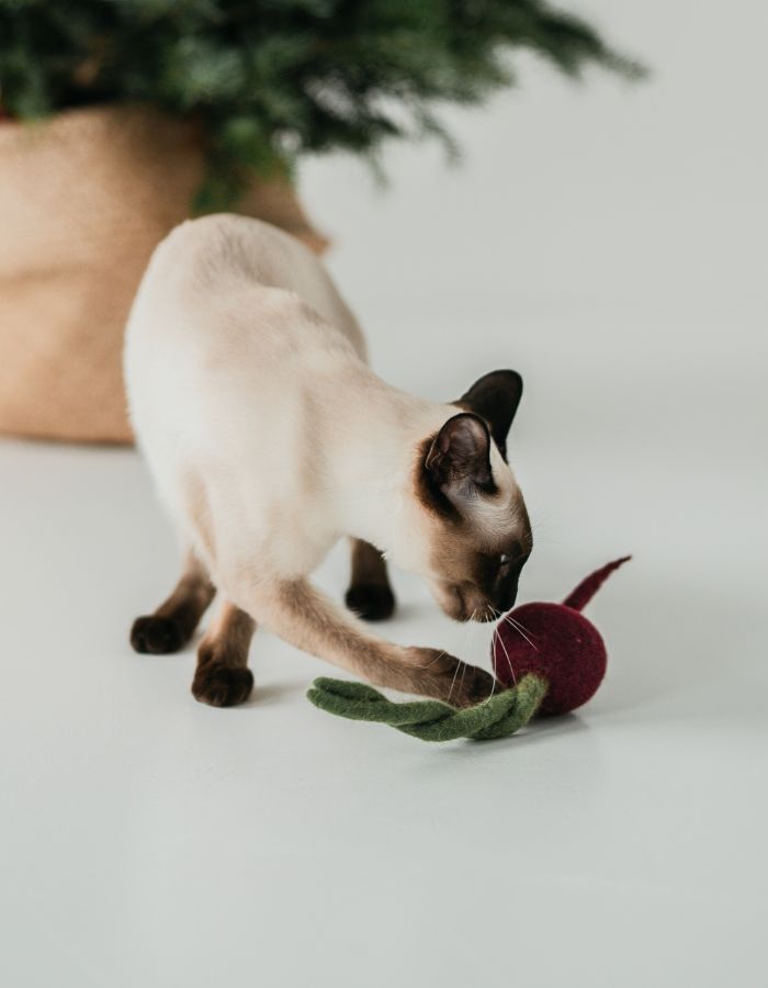 Beetroot natural toy for pets 100% wool